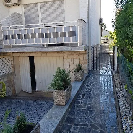 Sari Umag