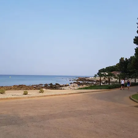 Sari Umag